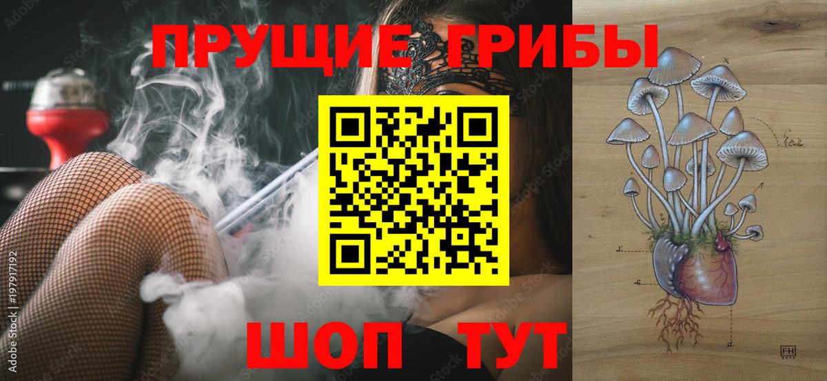 Галлюциногенные грибы мухоморы Геленджик