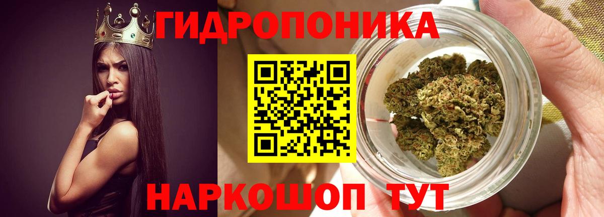 Шишки марихуана сатива Геленджик